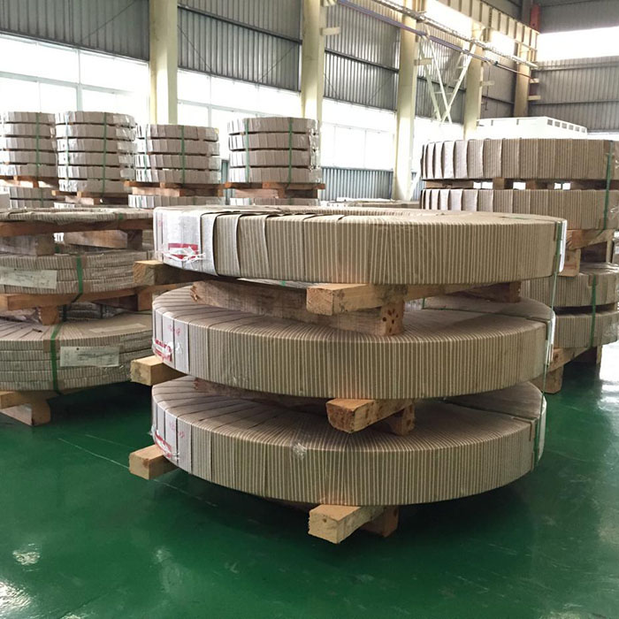 Precision Stainless Steel Strip