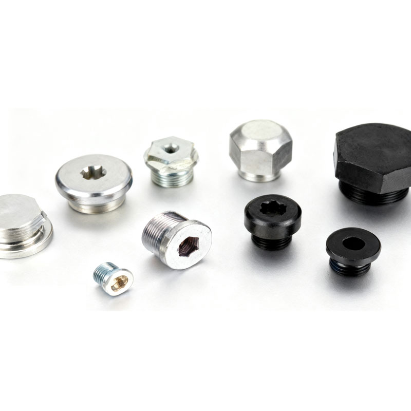 Hindi kinakalawang na asero flange plug